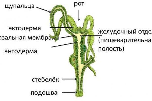 Кракен маркет зайти