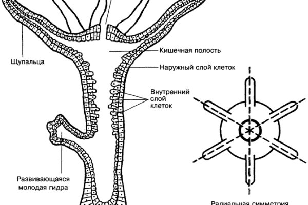 Каталог сайтов даркнет