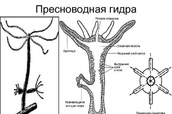 Переход на кракен