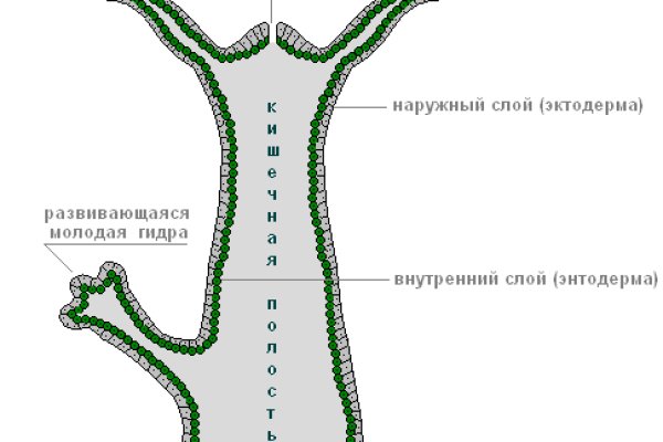 Что такое кракен маркетплейс