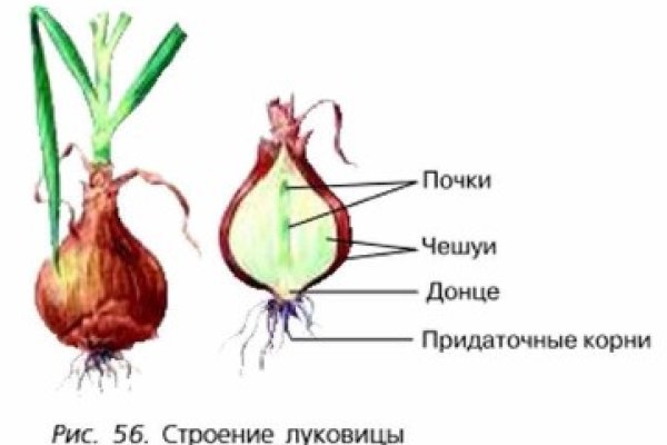 Официальный сайт даркнета