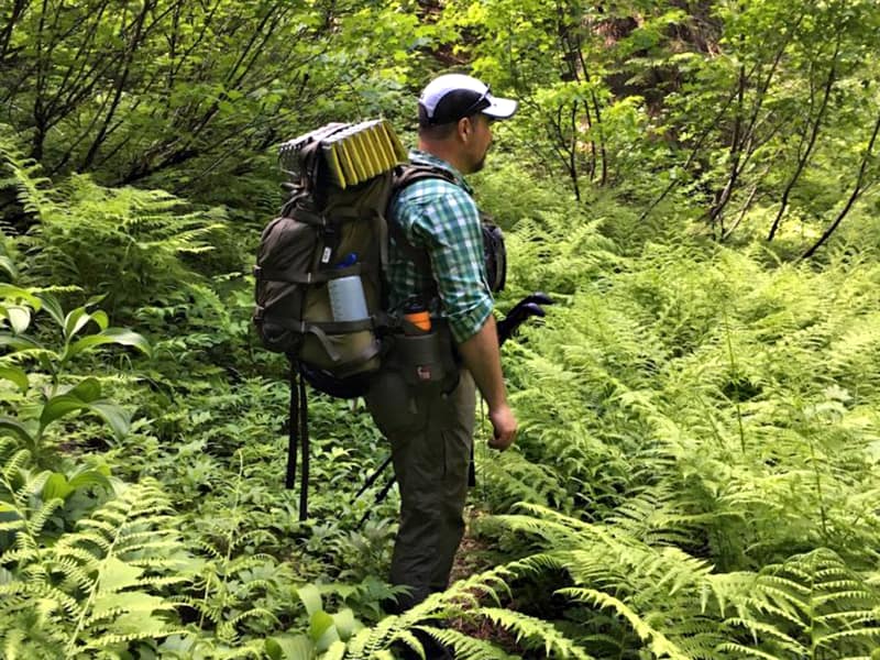 Кракен даркент